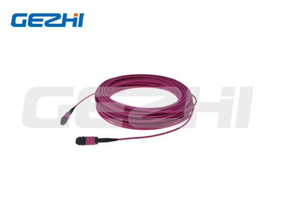 12Core Data Center Om4 Red Rose Round Mtp Mpo অপটিক্যাল কেবল প্যাচ কর্ড